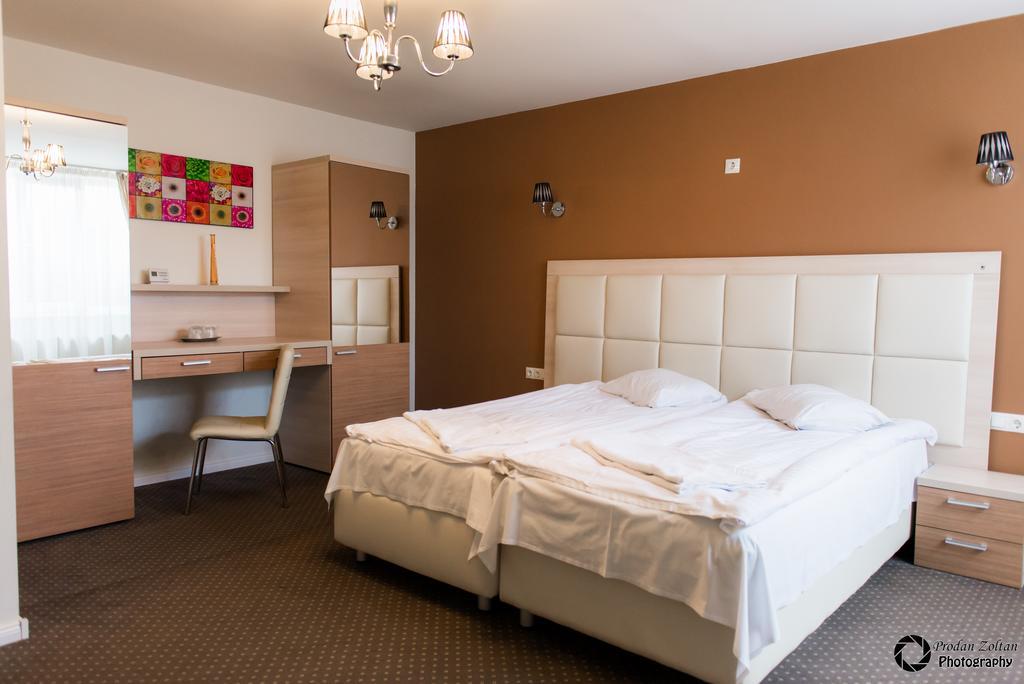 Pensiunea Schwartz Cluj-Napoca Room photo